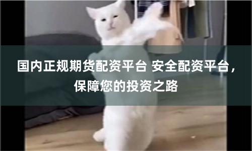 國內正規期貨配資平臺 安全配資平臺，保障您的投資之路