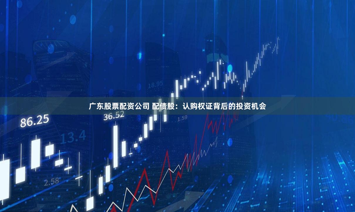 廣東股票配資公司 配債股：認購權證背后的投資機會